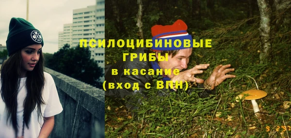 МДПВ Майский