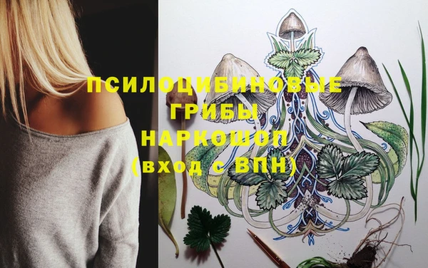 МДПВ Майский