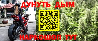 кокс Донской